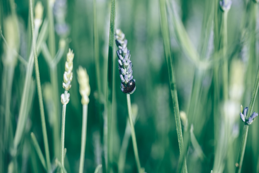 Image d'illustration 0